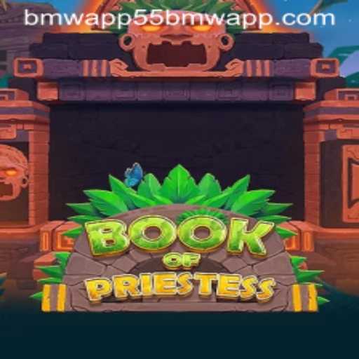Exploring the Adventures of BookOfPriestess and the Role of the 55bmw App